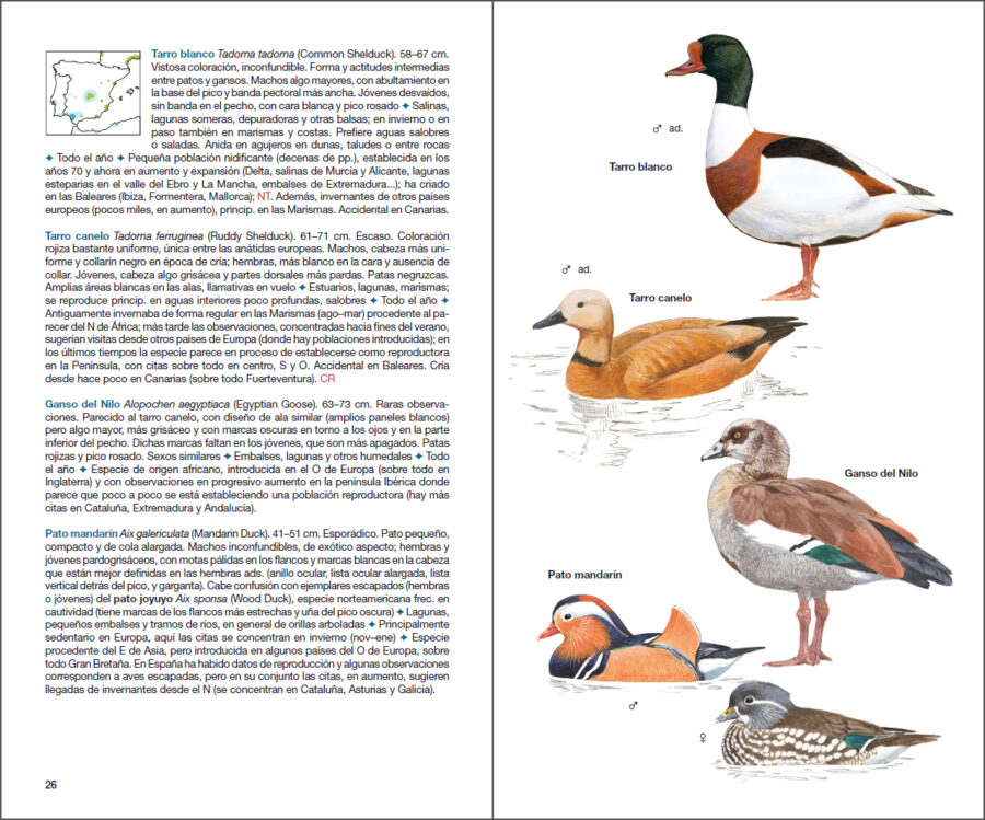 Página de muestra de Aves de España